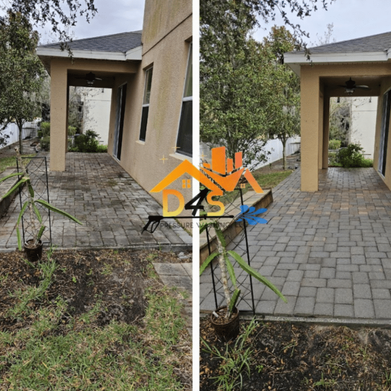 Best Pressure Washing Companies in Tampa