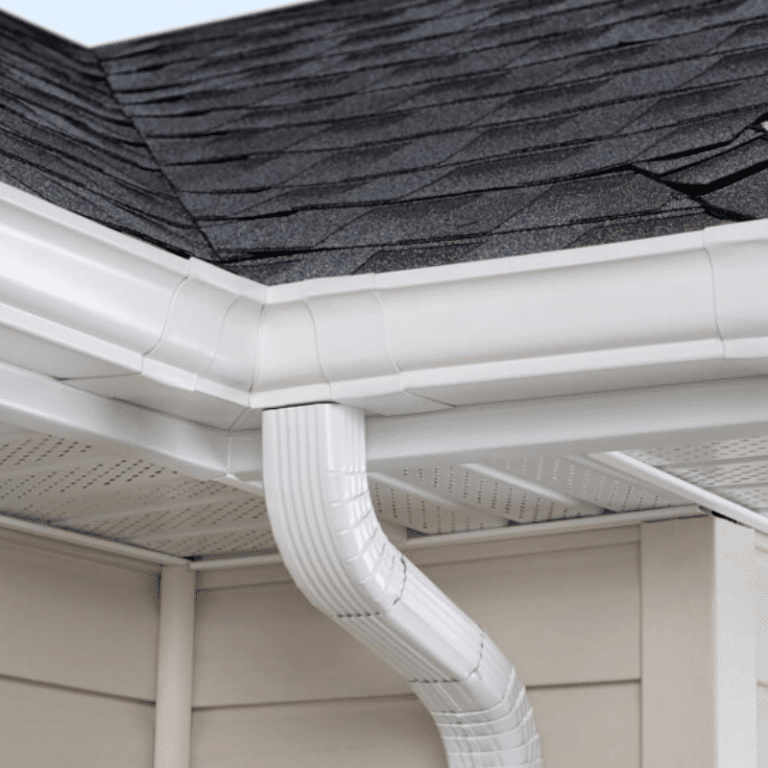 Best Gutter Cleaning Companies Tampa, FL